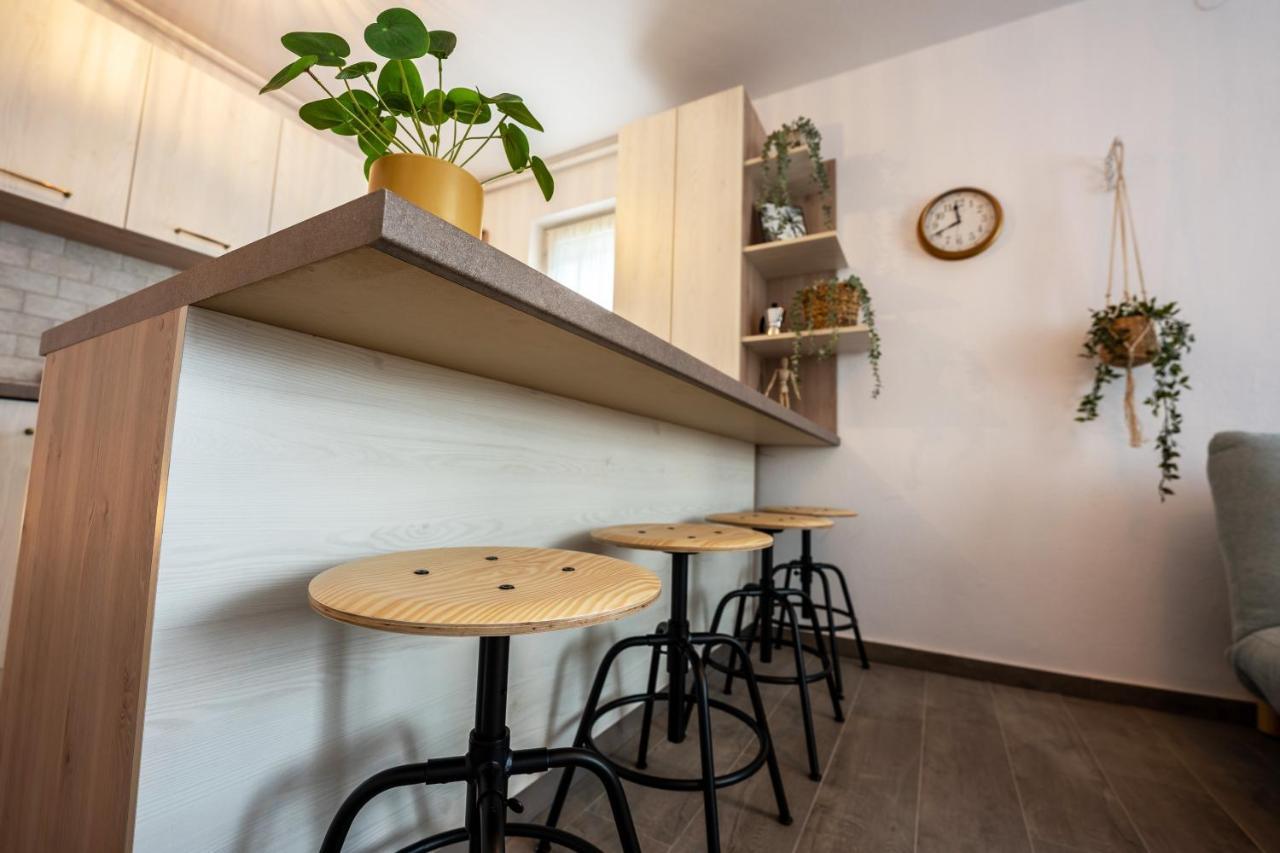 Daisy Apartment1 Sighisoara Exterior photo
